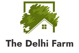 The Delhi Farm